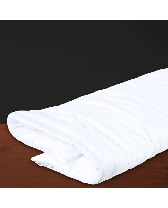 PROTECTOR DE ALMOHADA